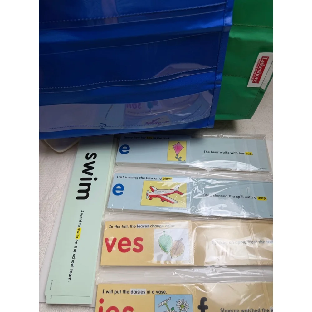 Lakeshore Learning vowel and sight words strips